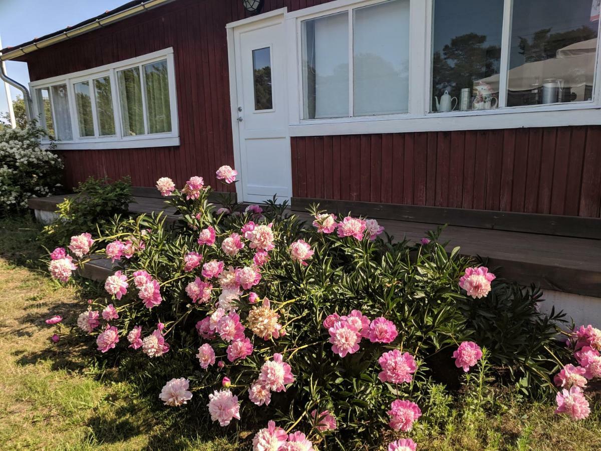 Seaside Summer Home 帕尔迪斯基 外观 照片